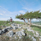 ADAPT PURE MIPS, Black Pine Matte-No Lens Reference, hi-res image number null